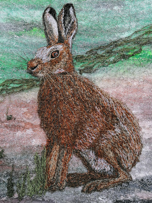 Picture:Hare