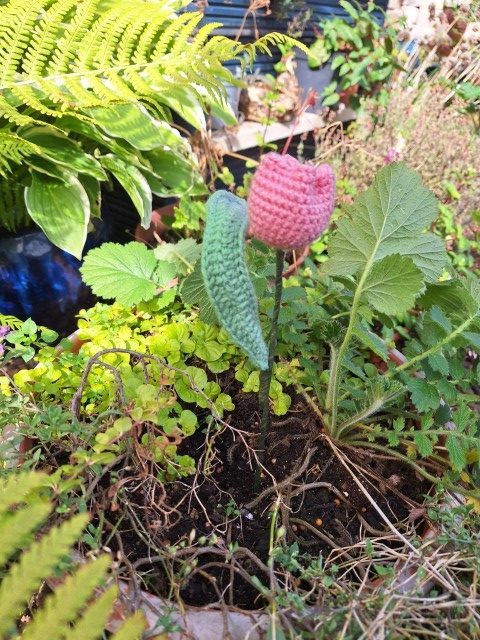 Hand made crochet tulip pink