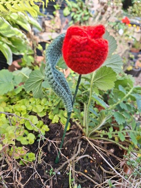 Hand made crochet Tulips Red