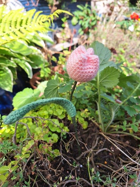 Hand made crochet tulip ( light pink )
